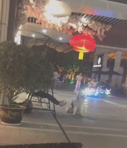  神回复：“海水很咸不能喝！那海洋动物是怎么喝到淡水的？”嘿嘿