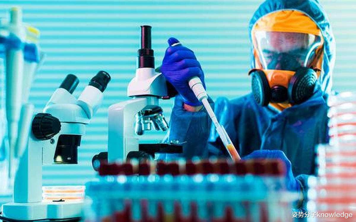 Java|中国会超越美国吗?哈佛大学分析,几项关键科技很有可能