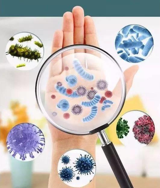 青霉素|天然“青霉素”公布，冬天要多吃，消炎杀菌，能增强免疫力