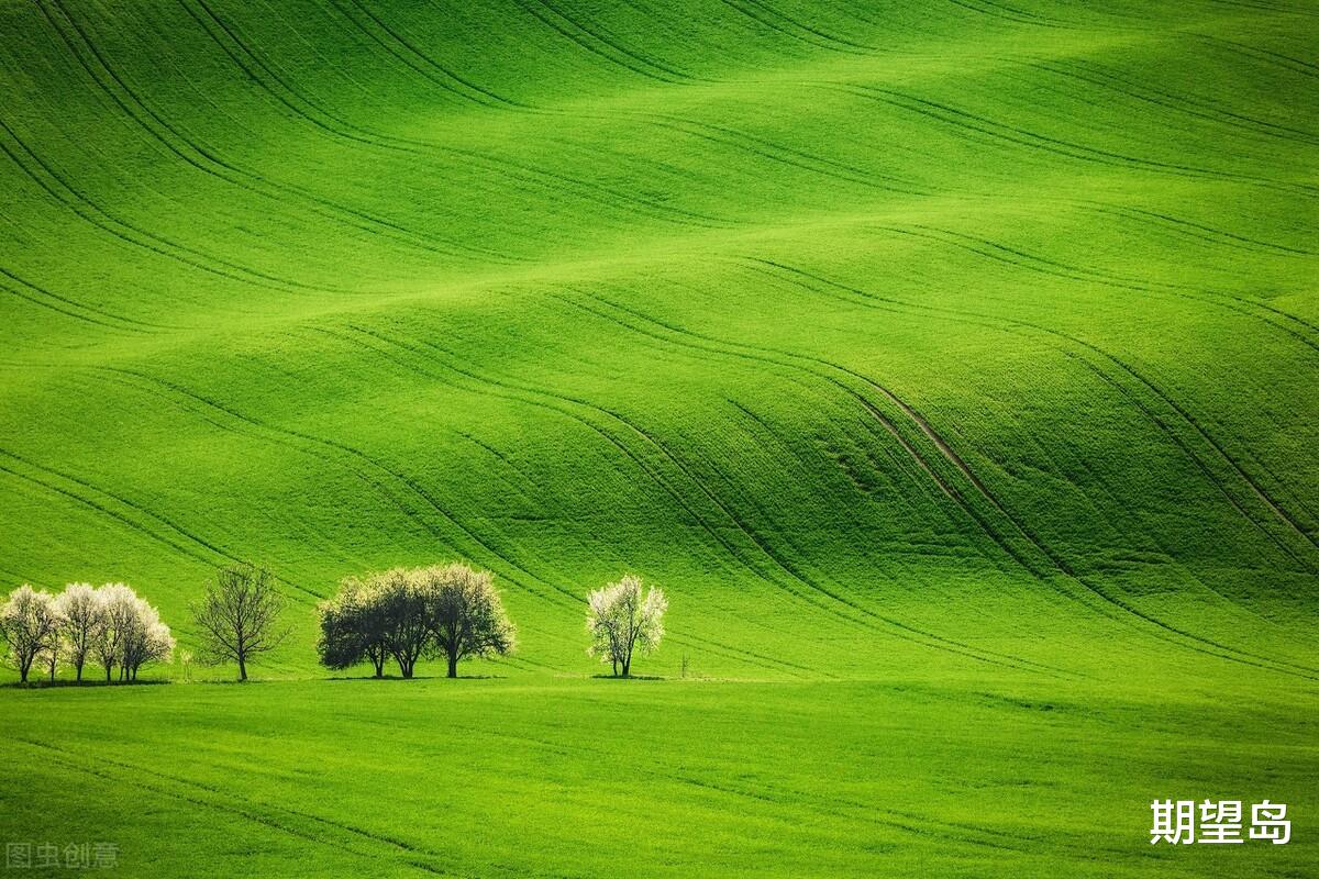 交易|交易不是生活的全部，交易仅仅是人生的一次远行，财富会如期到来