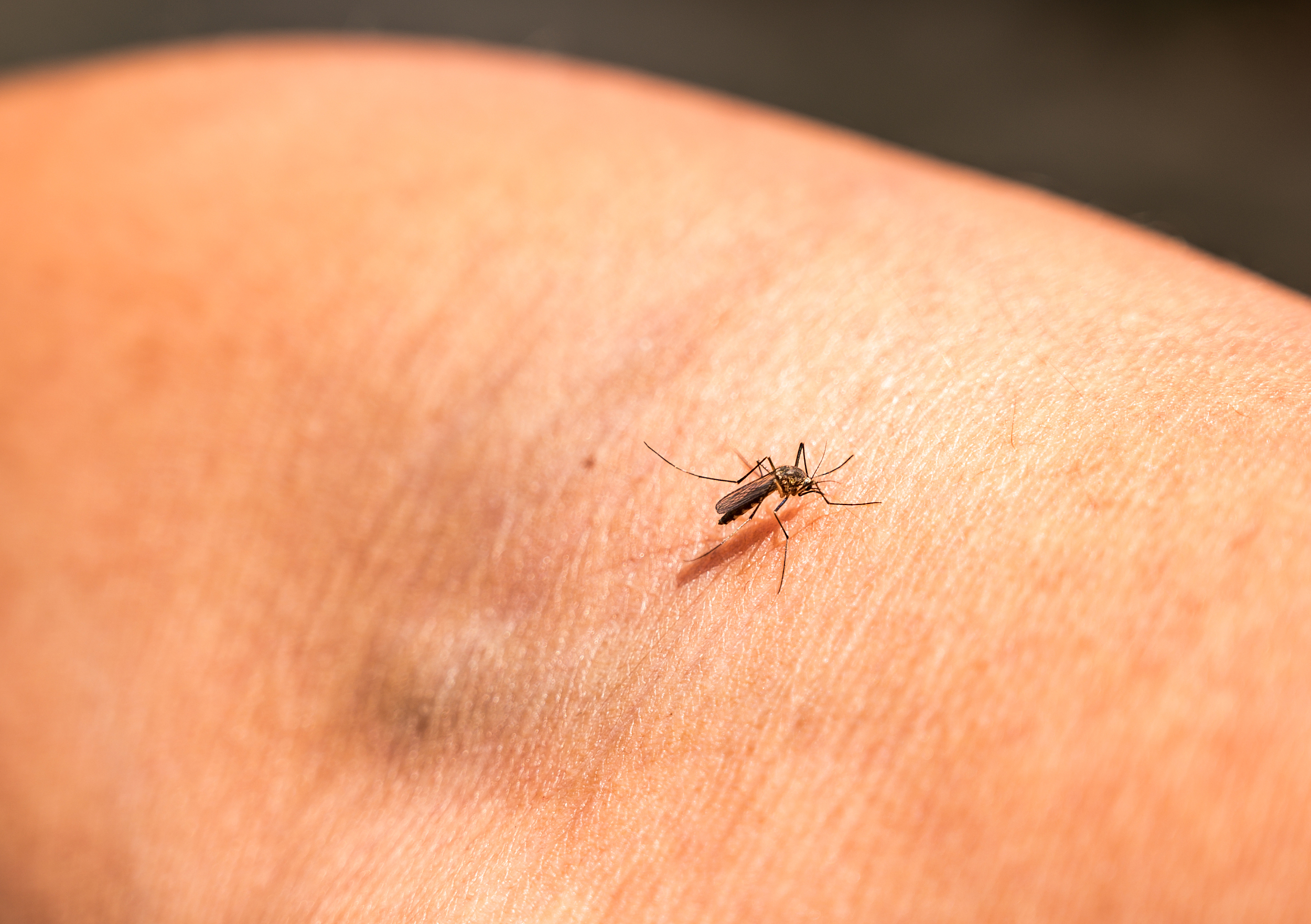 两口育儿|防蚊大作战，宝爸宝妈们做到以下几点，让孩子远离蚊虫叮咬之苦