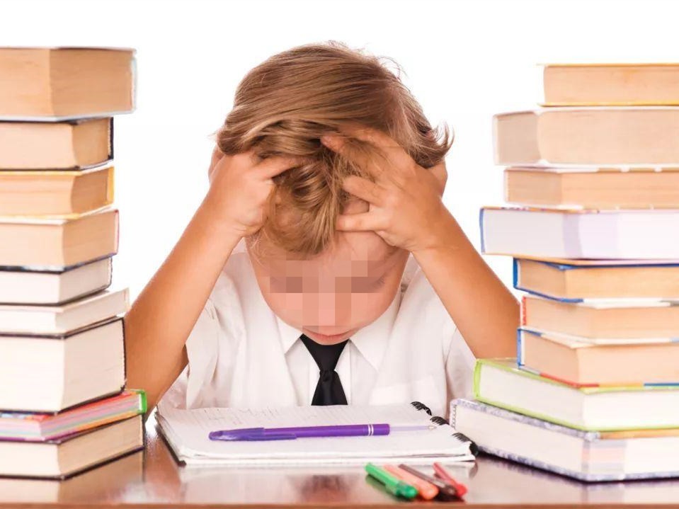 神鸟知讯资讯站 高薪学历最重要！20年鸡娃教育换女儿抑郁，爸妈梦想要孩子买单