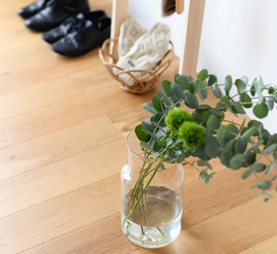 蔡宏志聊时尚|美学家居：用“绿植”装点房间，究竟有多雅致？