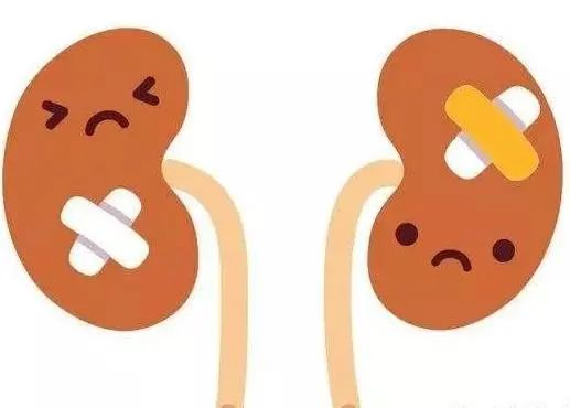 平直堂|艾灸7个穴，好好补补肾！
