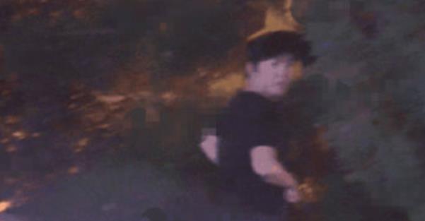 健身养生谈 李云迪嫖娼被抓，王力宏恐成最大赢家？