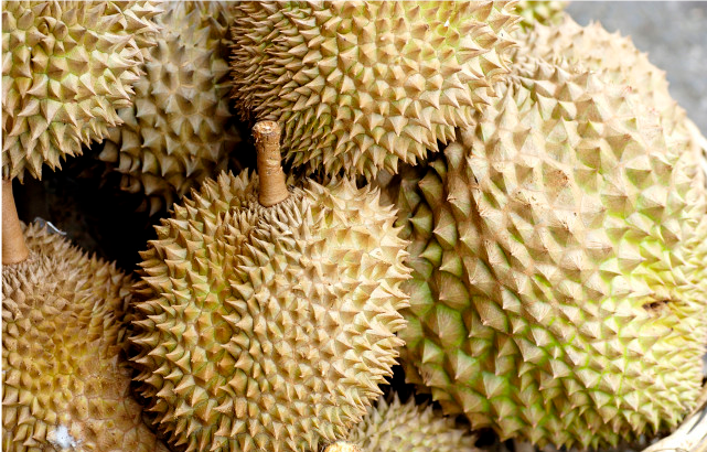 北庭美体健康圈|不论男女,过了50岁,要少吃的蔬菜和水果都给你列好了,多了解下