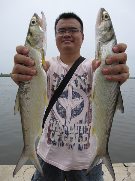 |你钓到过最大的鱼有多大?20斤?对我来说那叫鱼饵