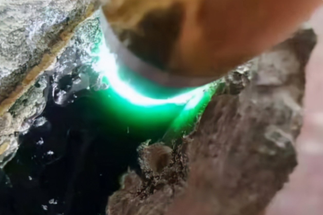 古钱币|捡大漏！1.8万淘来的翡翠原石，切出30块墨翠大牌，老板懵了