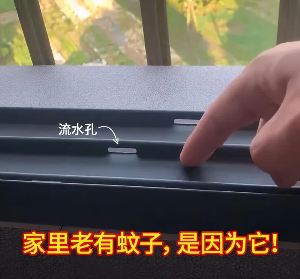蚊子|入住两年才发现：这3个被“低估”的家居物品，才是真的好用！