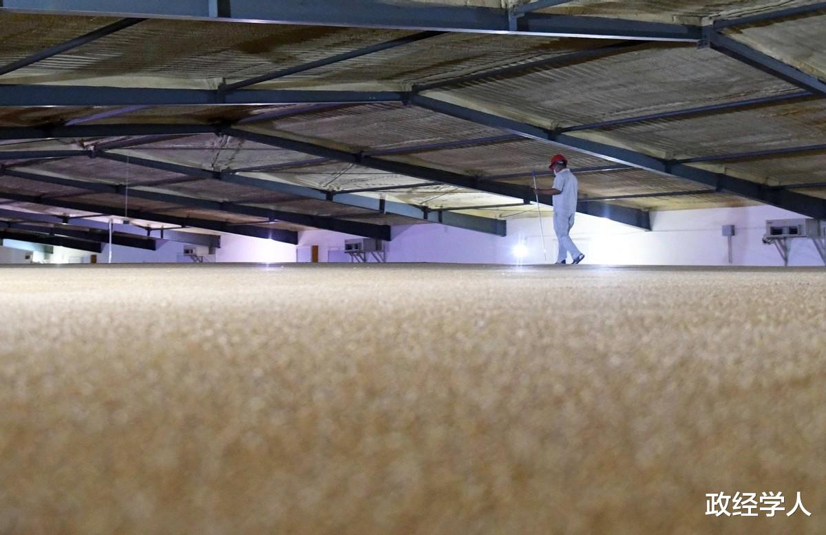 黄金 隐秘的粮食战争:外资联手“做局”中国粮食市场,却被中国反将一军