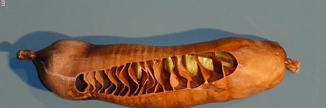 鲨鱼 特斯拉100年之前的发明了一个阀门，人类不用，鲨鱼都要用够了？