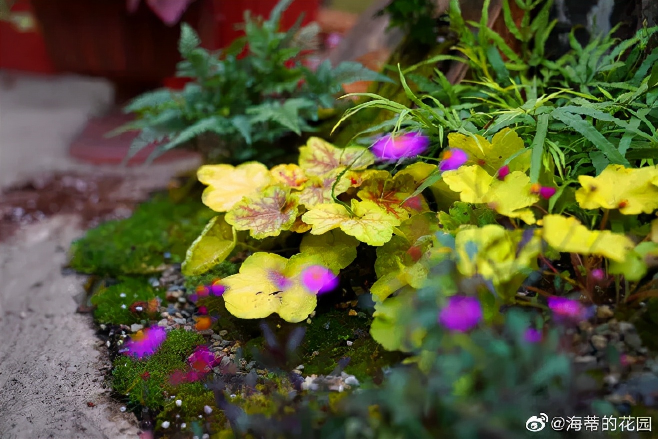 玩转庭院:把院子设计成中式风格,一宅一院,感受诗意的田园生活