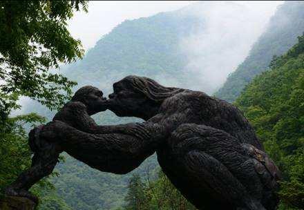 果莓妈咪说 20年前，专家在神农架发现的“猴娃”，真的是人猴杂交产下的吗