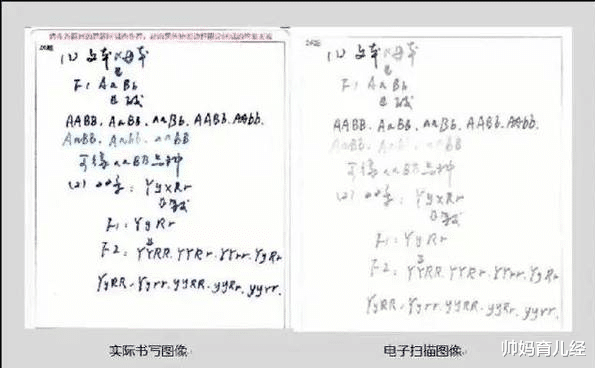 容嬷嬷|高中生自创“针尖”字体，容嬷嬷看后都佩服，老师却说高考吃大亏