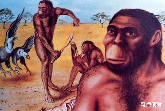 南方古猿 希腊发现605万年前人类脚印！那时南方古猿还未出现，哪来的人？