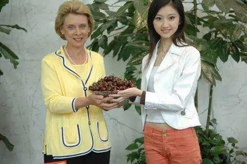 景甜|景甜又翻红了？这牵扯出多少娱乐圈陈年八卦