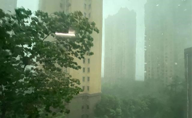 区彭丹 武汉暴雨后，大鱼游上街头，四处乱窜，网友：想去抓鱼