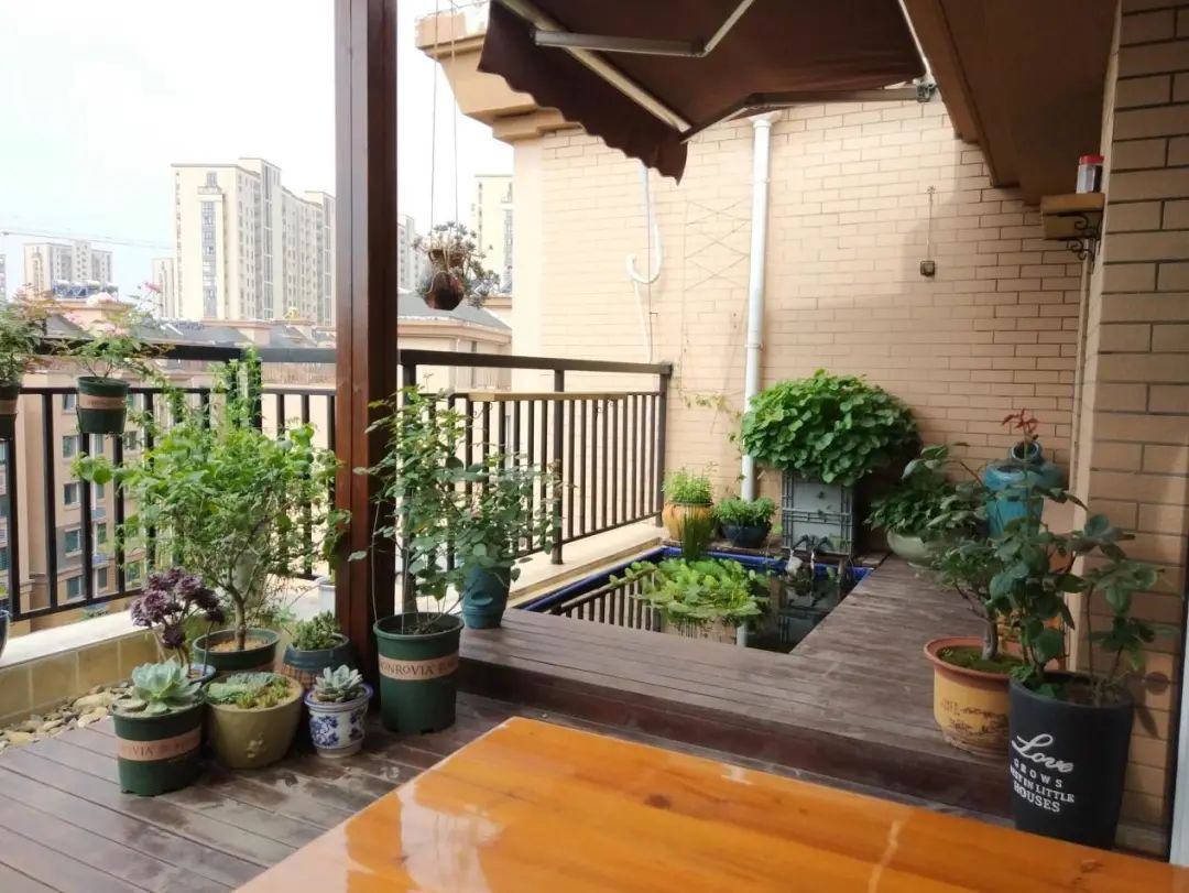 别再让露台\露\着了，装这种棚遮阳效果好又省力，也就花上个几千