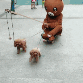 萌萌萌说|约了上门按摩的妹子，包里居然带了这些工具，男生看完都脸红了！