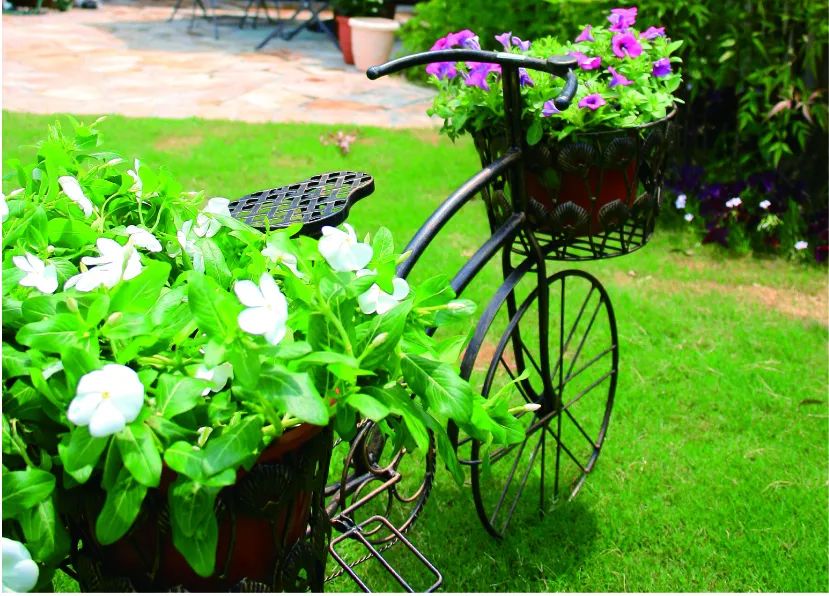 |院子里放置一些这样的创意小搭配,瞬间美成诗