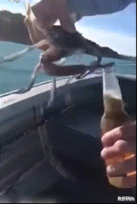 海棠湾情说|“和表婶健身完,出门时她内衬忘了放下来,画面太辣眼!”哈哈哈帮帮忙啊