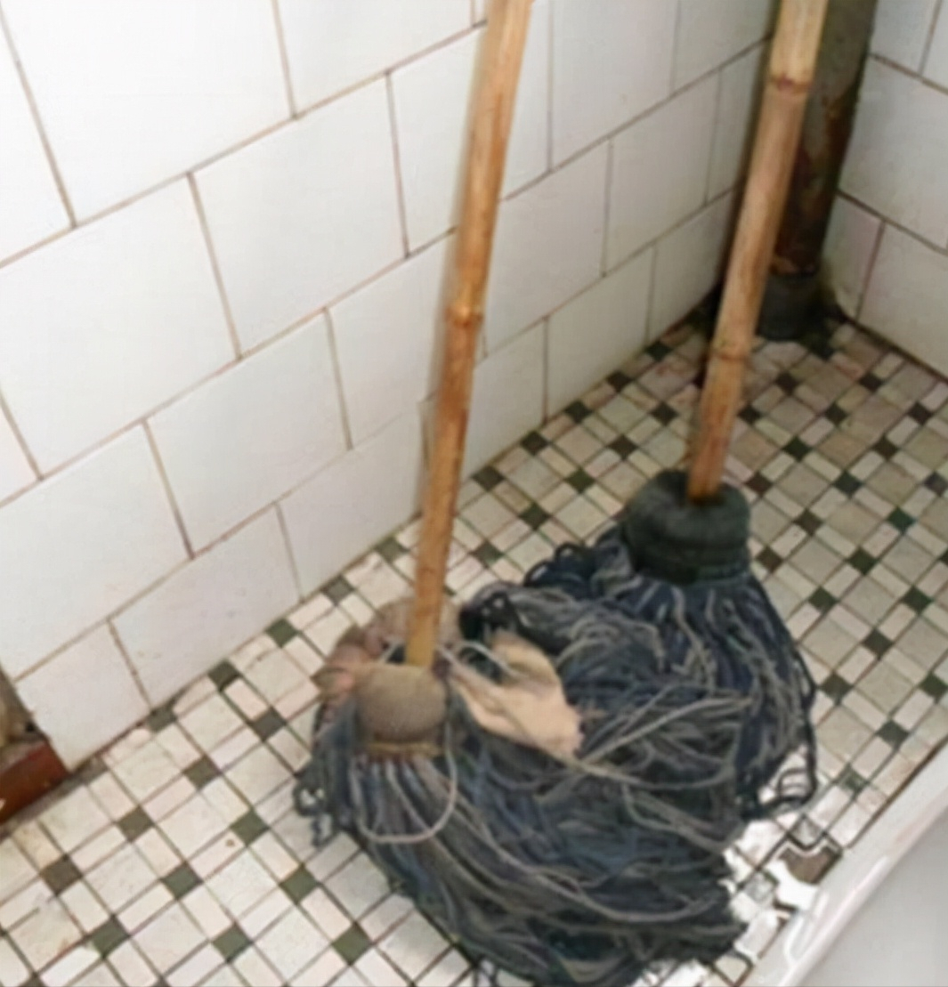 |国产名副其实的“家居好物”，却因廉价被瞧不起，用过一次就上瘾