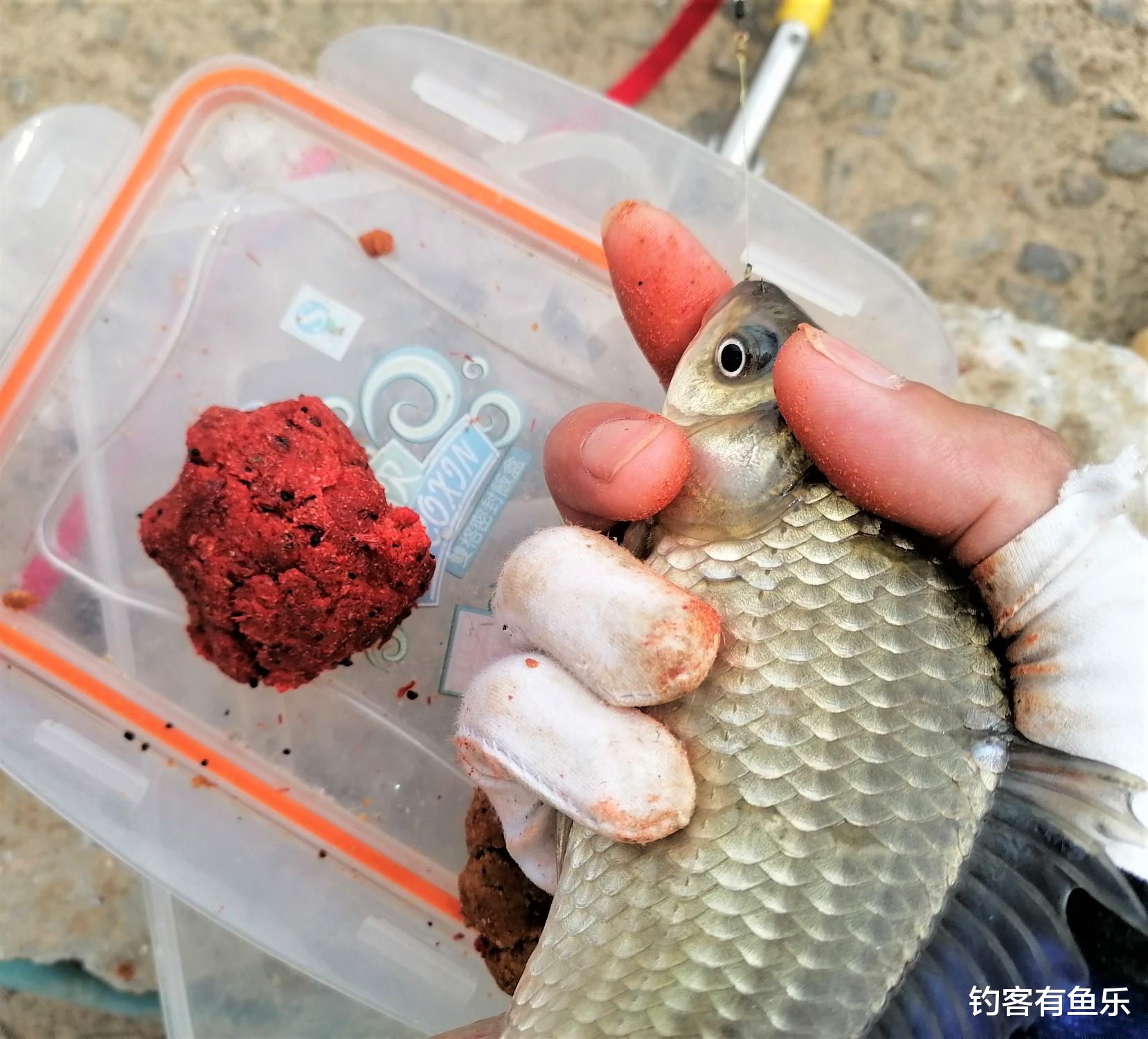 饵料|天热钓鱼，小杂鱼闹窝太烦人，做好3点，大鱼到，小鱼跑