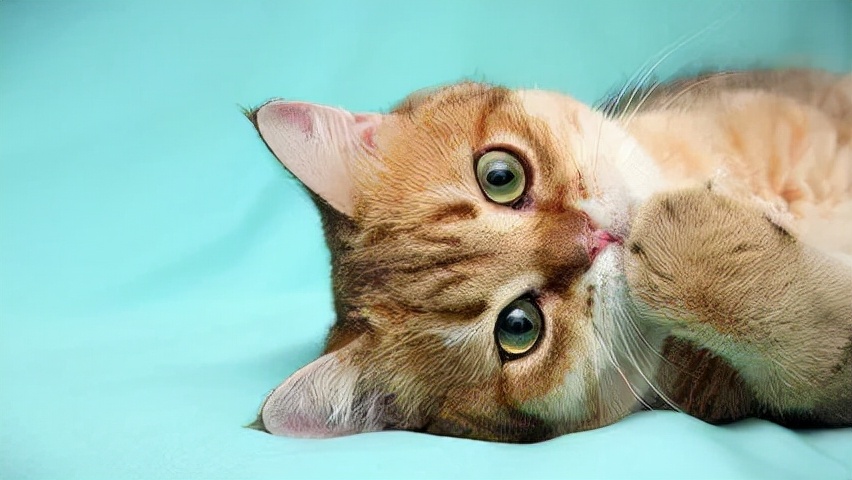 ETF 你与土豪就差一个ETF