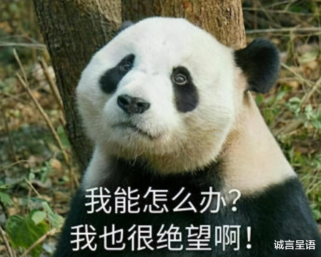 大学|大学毕业生，在你想当“老实人”之前，我劝你先学会“不当个人”