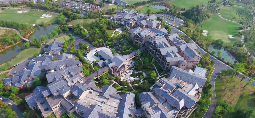 本可以不这么做的|浙江有个县市，年平均温度20度，网友：来对了地方