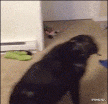 学姐说育儿|为什么内内上非要这东西,我感觉在针对有肚子的小姐姐!