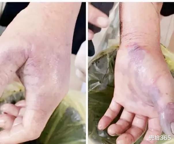 |常见的一种淡水鱼,身上带着3根毒刺,一旦被它们伤害将终生难忘