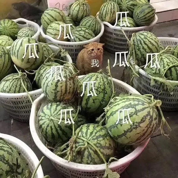 娱乐圈|他一翻红，丑人横行、流量当道的娱乐圈终于有救了！