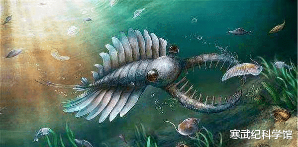 寒武纪 又是一种寒武纪史前顶级捕食者，最古老的人类祖先只能狼狈逃窜
