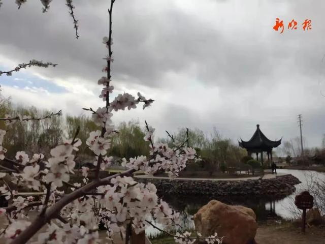 新晚报 昨天，“伏地魔”来哈尔滨了？