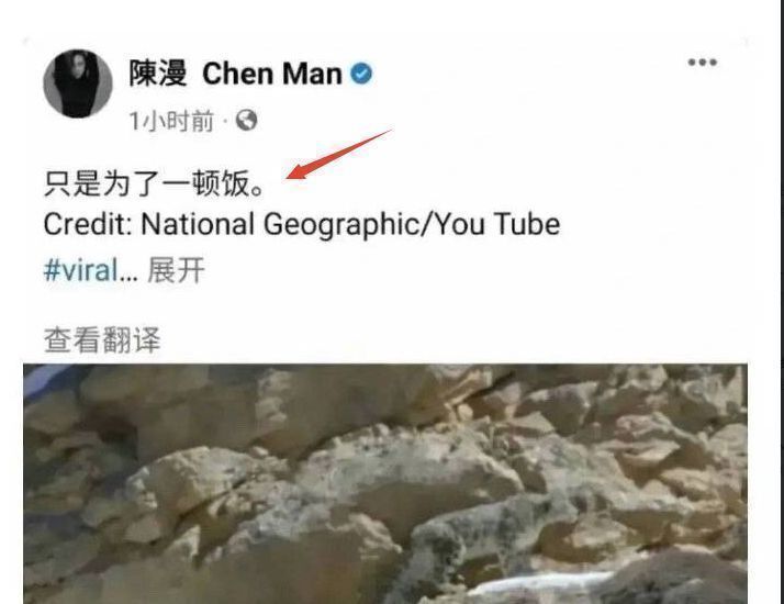 陈漫|陈漫辱华风波后续？争议作品并未下架，还登上了时尚杂志