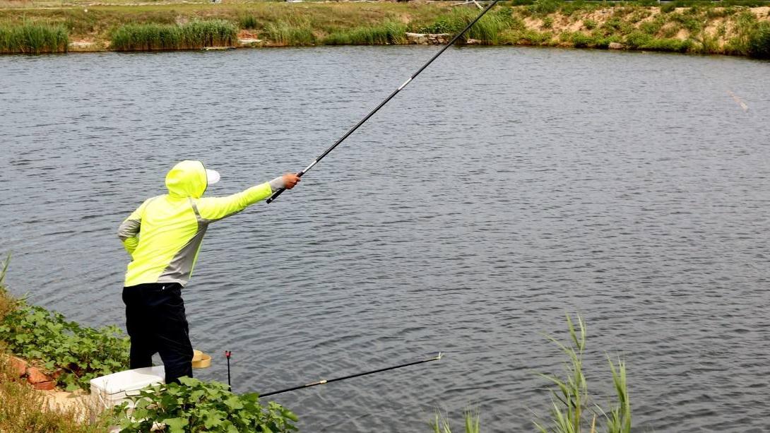 鲫鱼|据说“逗钓”是钓鱼的万金油技巧，看完这个，高级逗钓就学到手了