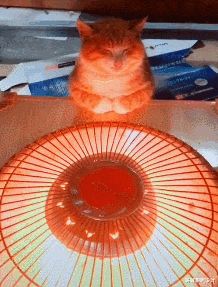 冬季取暖除了地暖和暖气片,还有哪些?这4种电暖气可以考虑