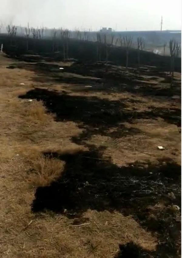 中华网河南 疑因“熊孩子”玩儿火,郑州运河北岸十余亩草地被烧黑