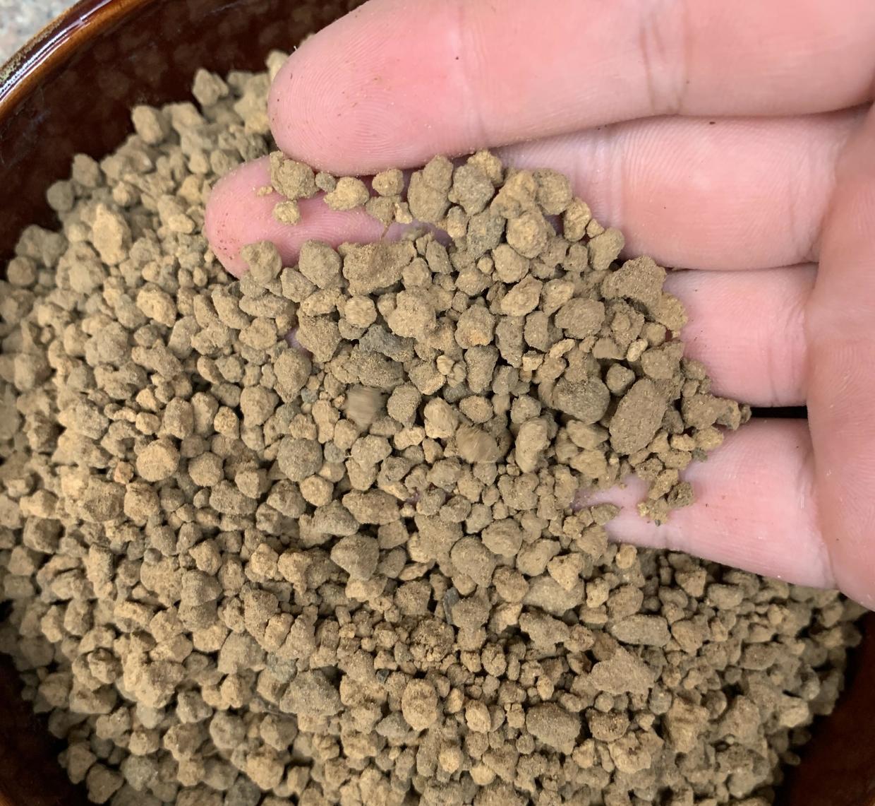 说说家装那点事儿|全颗粒养多肉！可行吗？当然可行，透水性好，多肉不烂根