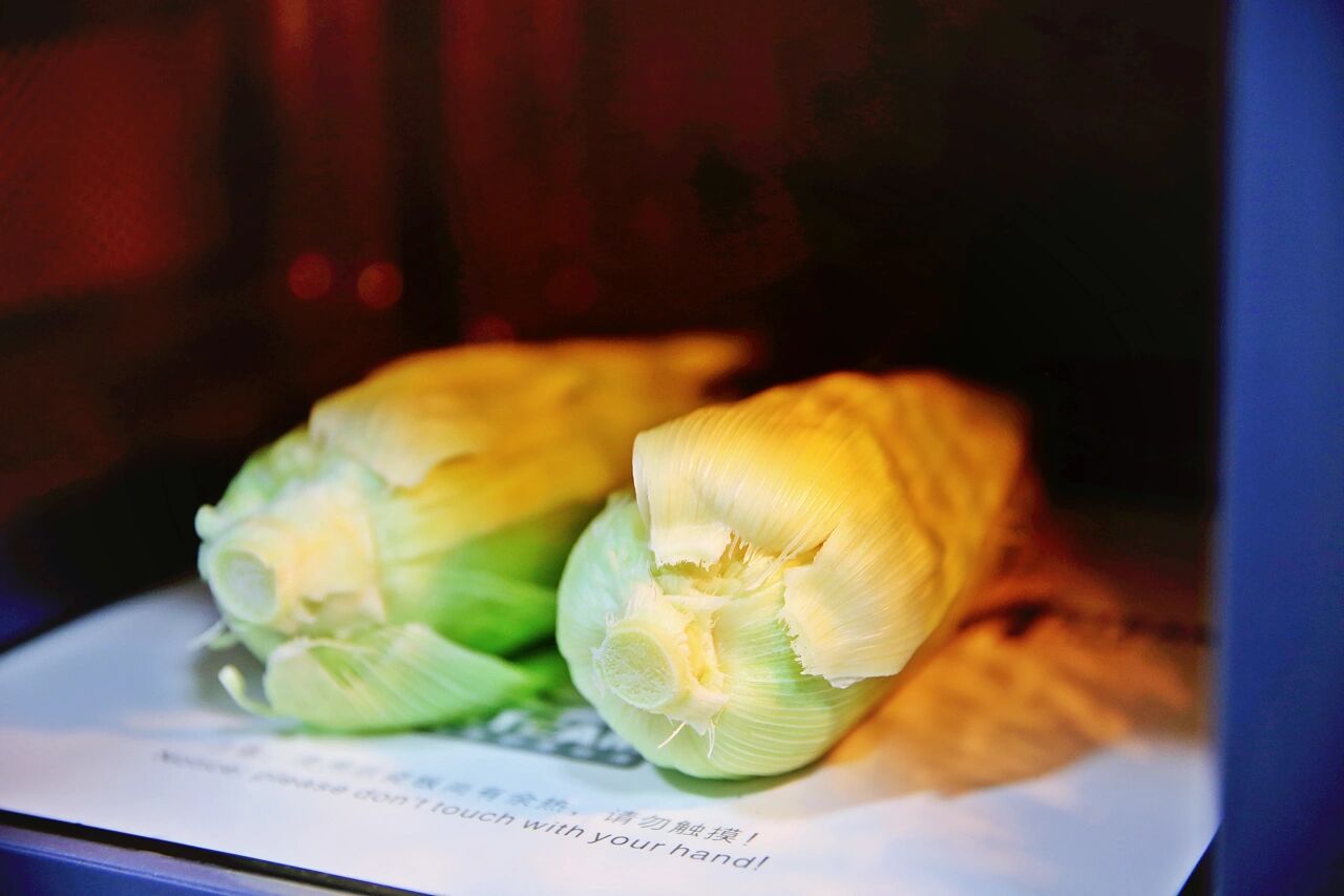 键盘|曾红极一时的微波炉,为何如今“存在感”几乎为零?该淘汰了吗?