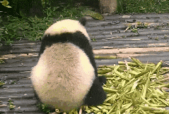 情侣|一对情侣一起去健身房六年，所以女生是去减肥的，男生是去干嘛的。