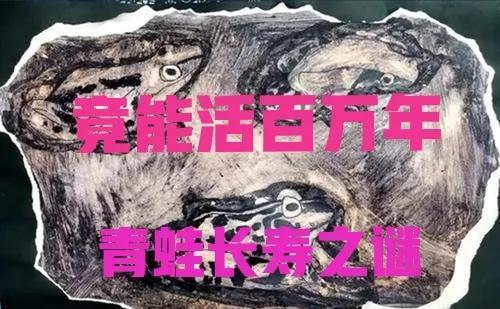 蟾蜍 离奇事件的真相之：蛙类的长寿之谜