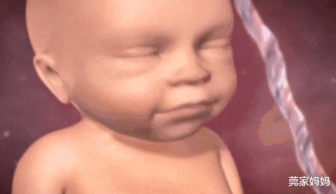 莞家妈妈|胎宝宝在肚子里除睡觉，还会做什么？主要有7个日常活动，真神奇