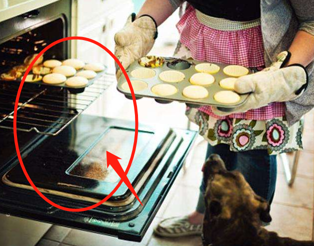 刚装完老舅指出18个错误装修,条条说的在理,实在,中肯