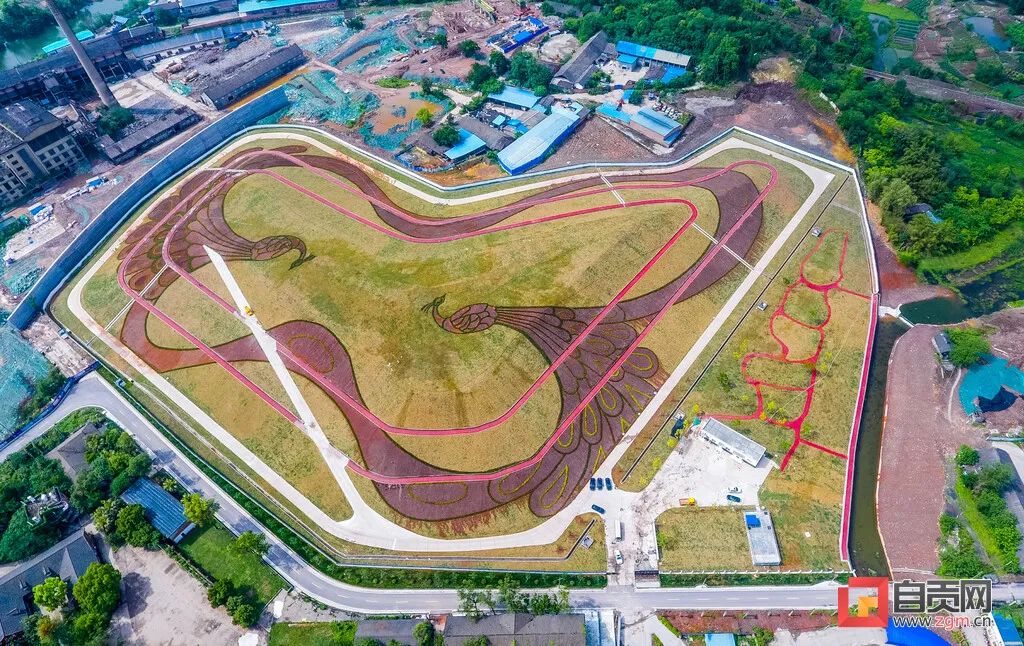 自贡 爱了！自贡这里换上“绿装”也太美了吧！