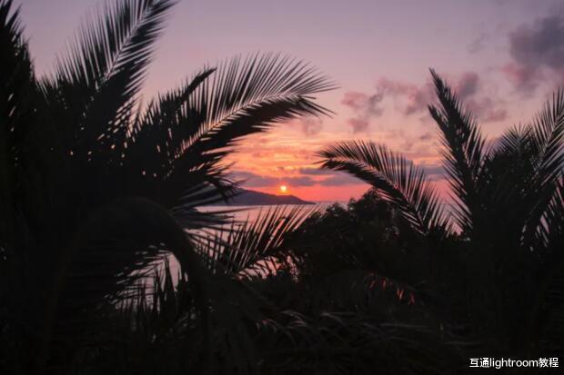 |摄影中的美学是什么：创建精美照片的简单指南