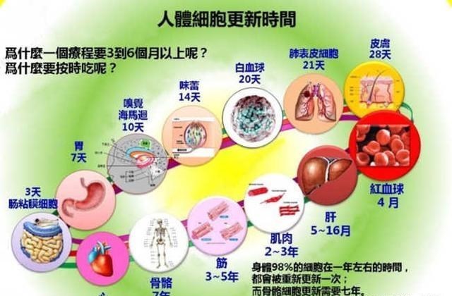 宇宙大爆炸 10人体冷知识！身体的奥妙无穷无尽