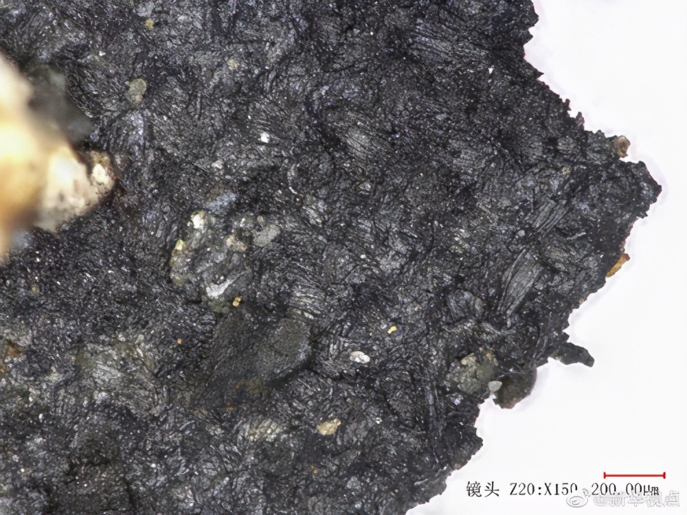 实闻速览 前所未见的神奇文物首次被发现！世界瞩目的三星堆进行时。。。