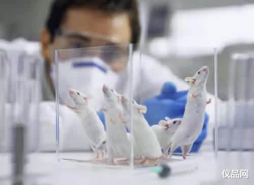 航天 残酷！动物染毒装置为我们推动科技的发展，背后是残酷的生存法则